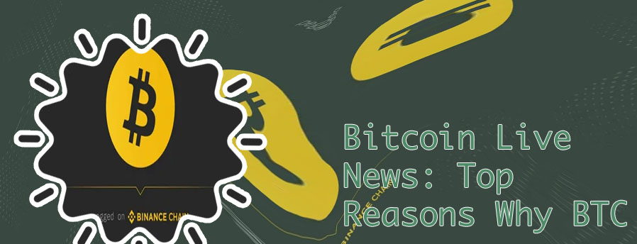 Btc live binance