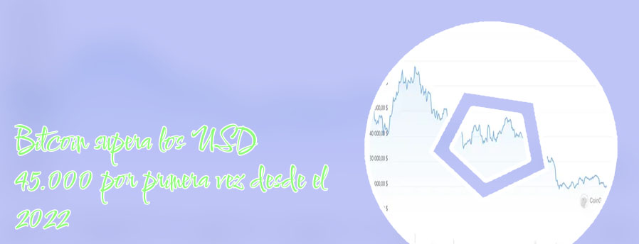 Precio del bitcoin cuando salio por primera vez