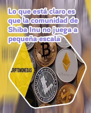 Que es quemar en criptomonedas